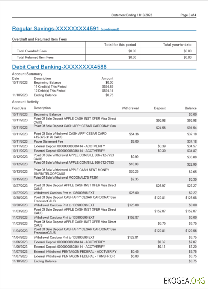 Modèle Word et PDF de relevé bancaire USA MidFlorida, 3 pages 3 template Modèle Word et PDF de relevé bancaire USA MidFlorida, 3 pages 3 template
